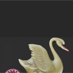 acb Souvenir The Young Swan