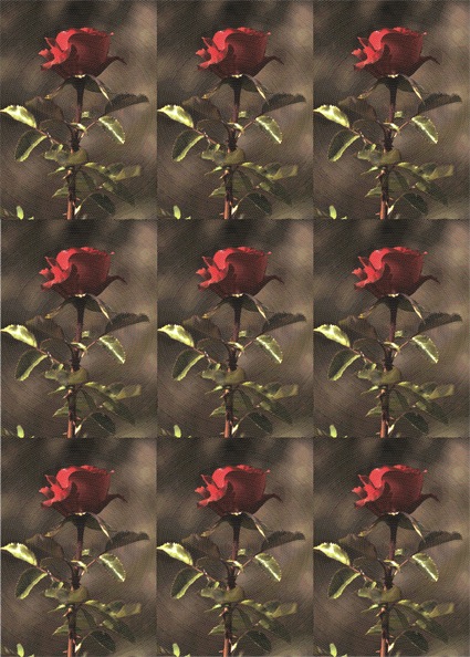 Loading Image