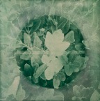 acb_Works_Subconsious_Bona_Fortuna