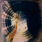 acb_Works_Subconsious_Ad_Altiora