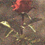 acb_Works_Souvenir_Every_Rose_Has_Its_Thorn