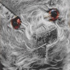 acb_Works_Souvenir_Ted