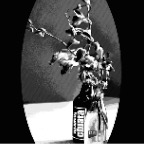 acb_Works_Souvenir_A_Good_Night_Out