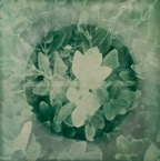 acb_Works_Subconsious_Bona_Fortuna